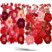 25 Types 83PCS Red Dried Pressed Flowers for Resin - Youthbro Real Nature Flowers Herb Set for DIY Jewelry Candle Soap Vase Making Nail Card Scrapbook Art Craft Floral Decors 2packs red