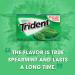 Trident Spearmint Sugar Free Gum 168 Pieces - 12 Packs, 14 Pieces Each - Buy Online on GoSupps.com