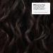 Eva NYC Bounce Back Curl Reviving Mist 5 fl oz Bounce Back Curl Reviving Mist 5 Fl Oz (Pack of 1) - Buy Online on GoSupps.com