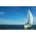 Wonderbox - Unforgettable Experience Gift Ideas | Choose from Getaways Hang Gliding & More - Buy Online on GoSupps.com