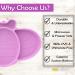 Bee Bright Baby Non-Slip Silicone Suction Plate - Purple | Toddler Feeding Plate | Dishwasher Safe - Buy Online on GoSupps.com
