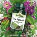 Saw Palmetto 90 x 500mg - Buy Online on GoSupps.com