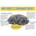 GERBS Raw Whole Sunflower Seed In Shell 1 lb - Top 14 Allergy Free Healthy Superfood Snack - Non GMO, No Oils, Preservatives - Resealable Bag - Gluten, Peanut Free - Vegan, Keto, Kosher - Buy Online on GoSupps.com