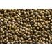 Canah Organic Whole Hemp Seeds - Roasted 1 kg Vegetarian High in Protein Fiber Omega 3 & Omega 6 Amino Acids Vitamins and Minerals Certified Kosher - Buy Online on GoSupps.com