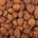 Whole Organic Hazel - 500 g. Chufa Earth Almond our Tiger Nuts. Gluten Free and Raw Tubers. Natural Tubers and Peel-free. - Buy Online on GoSupps.com