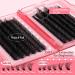 Buy Eefofnn Fluffy Lash Extension Kit - 240pcs DIY Individual Eyelashes 80D+100D Cluster Lashes Bond & Seal Glue Tweezers - 10-20MM D Curl Volume - Buy Online on GoSupps.com