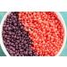 Nerds Grape & Strawberry Candy 1.65 Oz Pack of 24 - Delicious Mix of Fruity Flavors - Buy Online on GoSupps.com