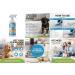 Stain & Odour Remover For Dogs | Enzyme Dog Urine Neutraliser | 500ml - Buy Online on GoSupps.com