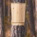 XL Bat Box Nesting Habitat | Solid Wood Garden Animal Shelter 55x35x7.5cm | Natural Untreated Wood - 10028879 - Buy Online on GoSupps.com