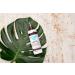 Renpure Coconut Water Mist Leave-In Treatment 8.5 Fl Oz - Hydrating Hair Sprayer (Pack of 1) - Buy Online on GoSupps.com