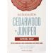 Schmidt's Deodorant Soap Bar, Cedarwood & Juniper, 5 Oz
