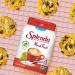 SPLENDA Naturals Monk Fruit Zero Calorie All Natural Granulated Sweetener Jar  19 oz 1.18 Pound (Pack of 1) - Buy Online on GoSupps.com