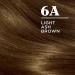 Clairol Nice'n Easy 6A Light Ash Brown Permanent Hair Dye - 6.26 Fl Oz (Pack of 1) - Buy Online on GoSupps.com