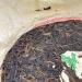Pu-erh tea 2007 Custom Tea China Tea Brand Yiwu Round Tea 380g Raw - Buy Online on GoSupps.com