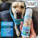 Bluepet Fellfein Sensitive Dog Shampoo - Odorless Vegan Made in Germany - Aloe Vera & Jojoba Oil for Shiny Fur | Bestselling Dog Care - Buy Online on GoSupps.com