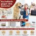 Weidebach Odor & Stain Remover for Pet Smells | Biodegradable Ready-to-Use Effective Against Stubborn Urine Stains | Buy Online Internationally - Buy Online on GoSupps.com