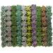 Shop Succulents Radiant Rosette Collection - 32 Pack Mini Succulent Plants - Buy Online on GoSupps.com