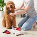 Amazon Basics 8-Piece Pet Grooming Set - Red | Complete 8-in-1 Pet Brush & Grooming Kit - Buy Online on GoSupps.com
