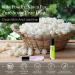 DEMETER Fragrance Library Classic Roll On Perfume Oil Set - 6 Unique Scents: Baby Powder Kitten Fur Pure Soap Pixie Dust Clean Skin Jasmine International Shipping Available - Buy Online on GoSupps.com