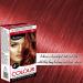 2pk Red Chilli Hair Dye | Easy to Use Fade Resistant Hair Colour | Includes 2 Colour Creme Gel 2 Developer Milk 2 Plastic Gloves and Detailed Instruction Manuals - Buy Online on GoSupps.com