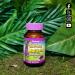 Bluebonnet Nutrition Rainforest Animalz 180 Chewables - Natural Grape Flavor Whole Food Multivitamins - Buy Online on GoSupps.com