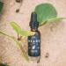 Buy O Douds Beard Oil for Men - Natural Vegan Conditioner & Mustache Oil with Jojoba - Softens & Moisturizes Beards - Forest Scent - 1oz - International Shipping Available - Buy Online on GoSupps.com