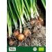  Biojoy Biojoy Organic granulated onion (250 g) dried onion granules (Allium cepa) - Buy Online on GoSupps.com