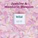 Wild - Natural Refillable Deodorant - Vegan & Eco-Friendly - Aluminium Free - Long Lasting Protection - 100% Natural Ingredients - Jasmine & Mandarin Blossom Refill - 40g Jasmine & Mandarin Blossom 40 g (Pack of 1) - Buy Online on GoSupps.com