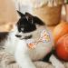 Fall Bow Tie Pumpkin Cat Collar Set with Bell | Autumn Thanksgiving Harvest Holiday Collar for Cats | Pumpkin Patch Design for Boys and Girls - Buy Online on GoSupps.com