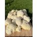 Lions Mane Mushrooms dried pieces - Buy Online on GoSupps.com