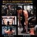 Buy BLEGFIT Premium Lifting Straps - 60cm for Strength Training | 6 Colors | Robust & Comfortable Fitness Gear in Germany - Buy Online on GoSupps.com