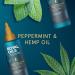 Head & Shoulders Royal Oils Nighttime Scalp Tonic with Peppermint and Hemp Oil 3.4 fl oz - Sulfate-Free - Buy Online on GoSupps.com