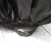 ATCG 190T Nylon Waterproof Bike Cover for 20 Kids Bike - Outdoor Storage Bag Included | Small - Black - Buy Online on GoSupps.com
