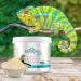 Ida Plus Mispusan Powder 200g - Mineral Feed with Vitamin D3 Calcium & Trace Elements for Amphibians Reptiles Birds Budgies Canaries & Parrots - Best Nutritional Supplement - Buy Online on GoSupps.com