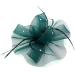 Ladies Large Feather Aliceband / Clip Fascinator Weddings Races Royal Ascot Hair Piece Womens Hat (Green) - Buy Online on GoSupps.com