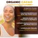 Organic Cacao Powder 200g - Natural Source of Potassium - MySuperfoods (Pack of 1) - Buy Online on GoSupps.com