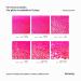 Buy Hemway Ultra-Shine Glitter - Fluorescent Pink 1/128 (0.008mm) for Crafts Weddings & Art - 100g | Secure Cosmetic Grade - Buy Online on GoSupps.com