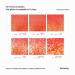 Hemway Premium Ultra Sparkle Glitter - Fluorescent Peach Microfine 100g | Multi-Purpose Metallic Flake for Arts Crafts Nails & Cosmetics - International Shipping - Buy Online on GoSupps.com