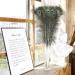 Soarer Long Peacock Feathers Bulk - 25pcs 32-35 inches for Vase, Holiday Decoration & DIY Crafts - Buy Online on GoSupps.com