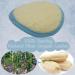 6 Pack Exfoliating Loofah Facial Cleaning Pads - Natural Organic Luffa & Soft Bamboo Terry | Hook & Elastic Hand Strap Scrubber - Buy Online on GoSupps.com
