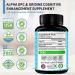 Alpha GPC Choline 600mg + Uridine Monophosphate 300mg Nootropic Supplement - Boost Focus, Energy & Cognitive Performance - 120 Veggie Capsules - Buy Online on GoSupps.com