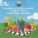 Sprout Organic Baby Food Stage 4 Toddler Snacks Broccoli Plant Power Curlz 1.48oz (Pack of 6) - Buy Online on GoSupps.com