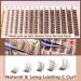 Buy Brown Lash Clusters - Natural Look Wispy Eyelash Extensions C Curl | DIY Home Lash Extensions by Newcally Cluster-B - Buy Online on GoSupps.com