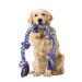 Aitmexcn dog toys knot rope dog toys indestructible for large and medium dog dog toys large dogs for teeth cleaning 5 knots 100% cotton - 95 cm xxl normal xxl dog toys