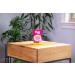 Stardrops The Pink Stuff Foaming Toilet Cleaner - 7oz Miracle Foam - 2 Treatments - Self-Activating International Shipping - Buy Online on GoSupps.com