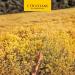 L'Occitane Verbena Soap 100g - Shea Verbena Bar for Refreshing Cleansing - Buy Online on GoSupps.com