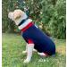 Dog Surgical Bodysuit | Wound Protection Suit for Dogs | Medical Recovery Shirt (XL Blue) - Shop Now! - Buy Online on GoSupps.com