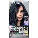 L'Oreal Paris Feria Multi-Faceted Shimmering Permanent Hair Color Kit  411 Downtown Denim 1 Count (Pack of 1) BLUES 411 Downtown Denim