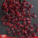 Tropgo Dried Cranberries 190g - Dried Fruit in Resealable and Recyclable Tub - Quick Energy Boost & Wholesome Trail Mix - Ready-to-Eat Dehydrated Fruit Snacks for Kids and Adults - Buy Online on GoSupps.com