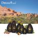 Buy Argan Oil Soap Cream 1000 ml Nourishing Moisturizing & International Shipping Available - Buy Online on GoSupps.com